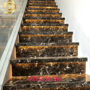 Đá cầu thang Marble Nâu Tây Ban Nha đậm